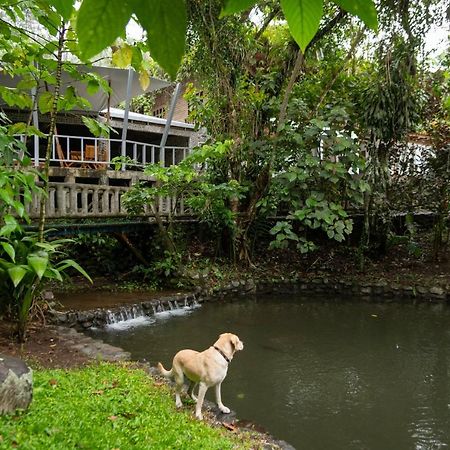 Rancho Margot Sustainable & Self Sufficient Eco Lodge El Castillo Exterior foto