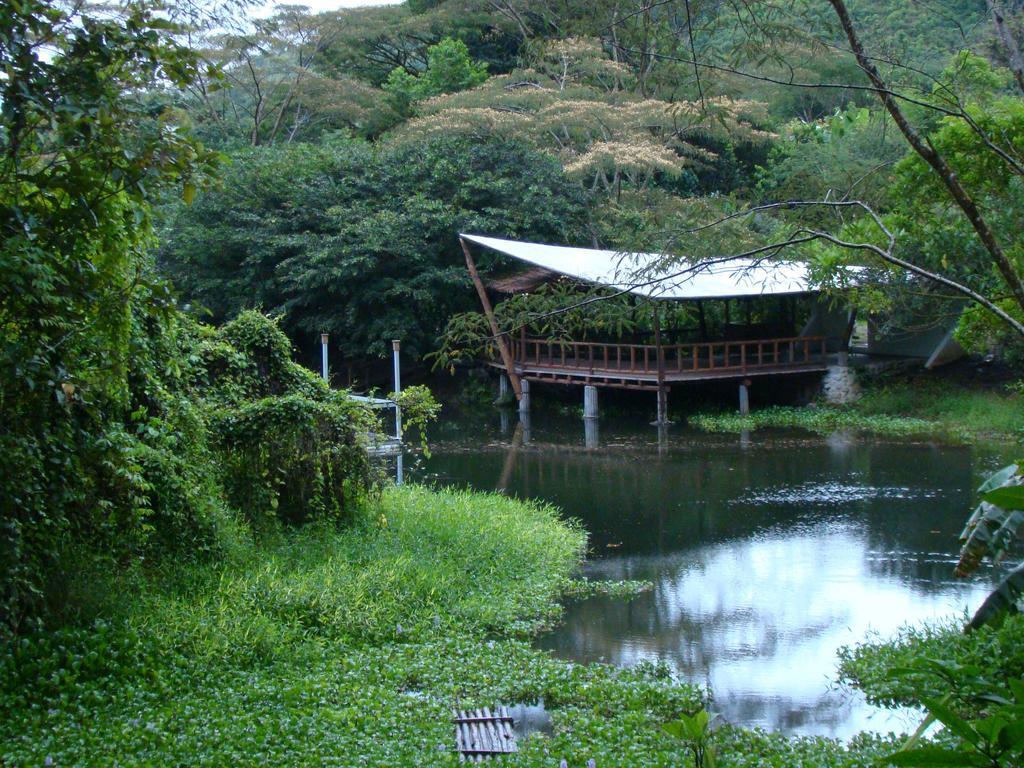 Rancho Margot Sustainable & Self Sufficient Eco Lodge El Castillo Exterior foto