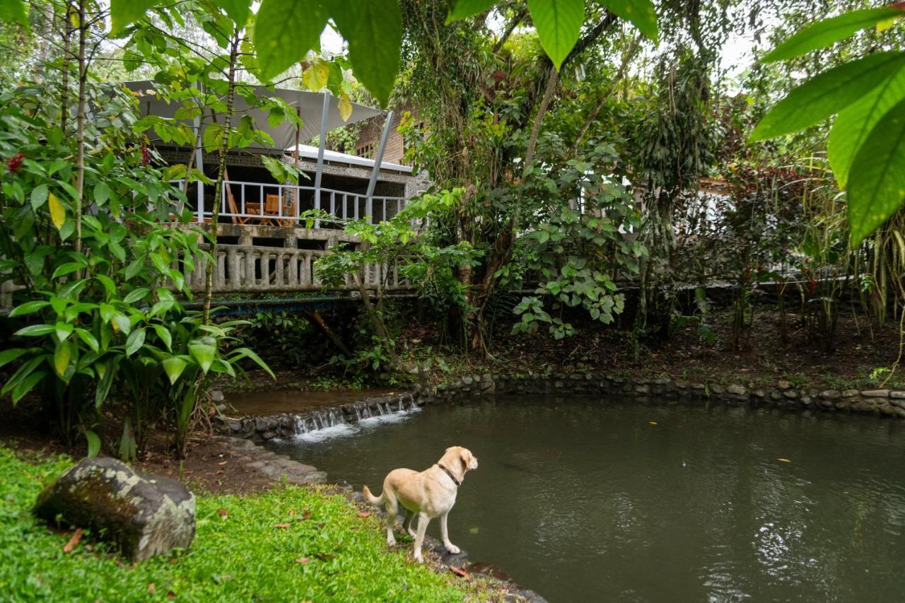 Rancho Margot Sustainable & Self Sufficient Eco Lodge El Castillo Exterior foto