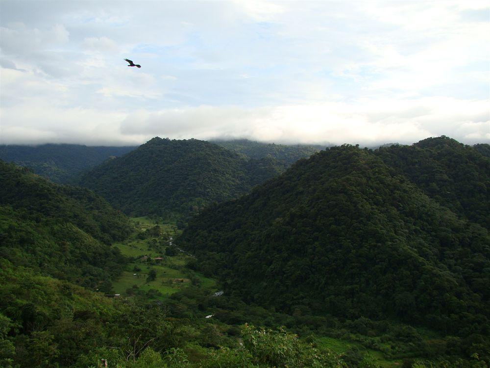Rancho Margot Sustainable & Self Sufficient Eco Lodge El Castillo Exterior foto