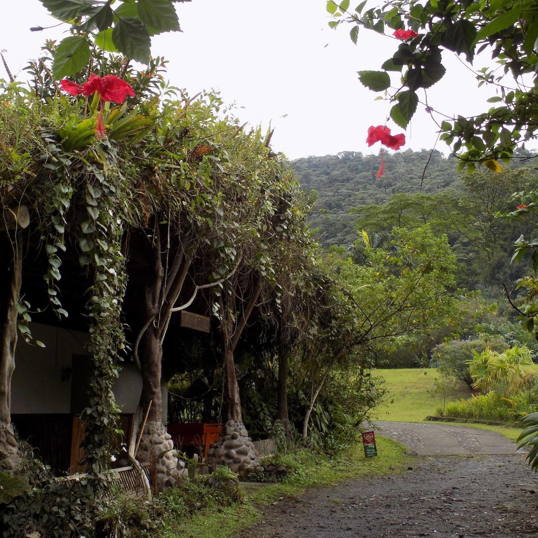 Rancho Margot Sustainable & Self Sufficient Eco Lodge El Castillo Exterior foto