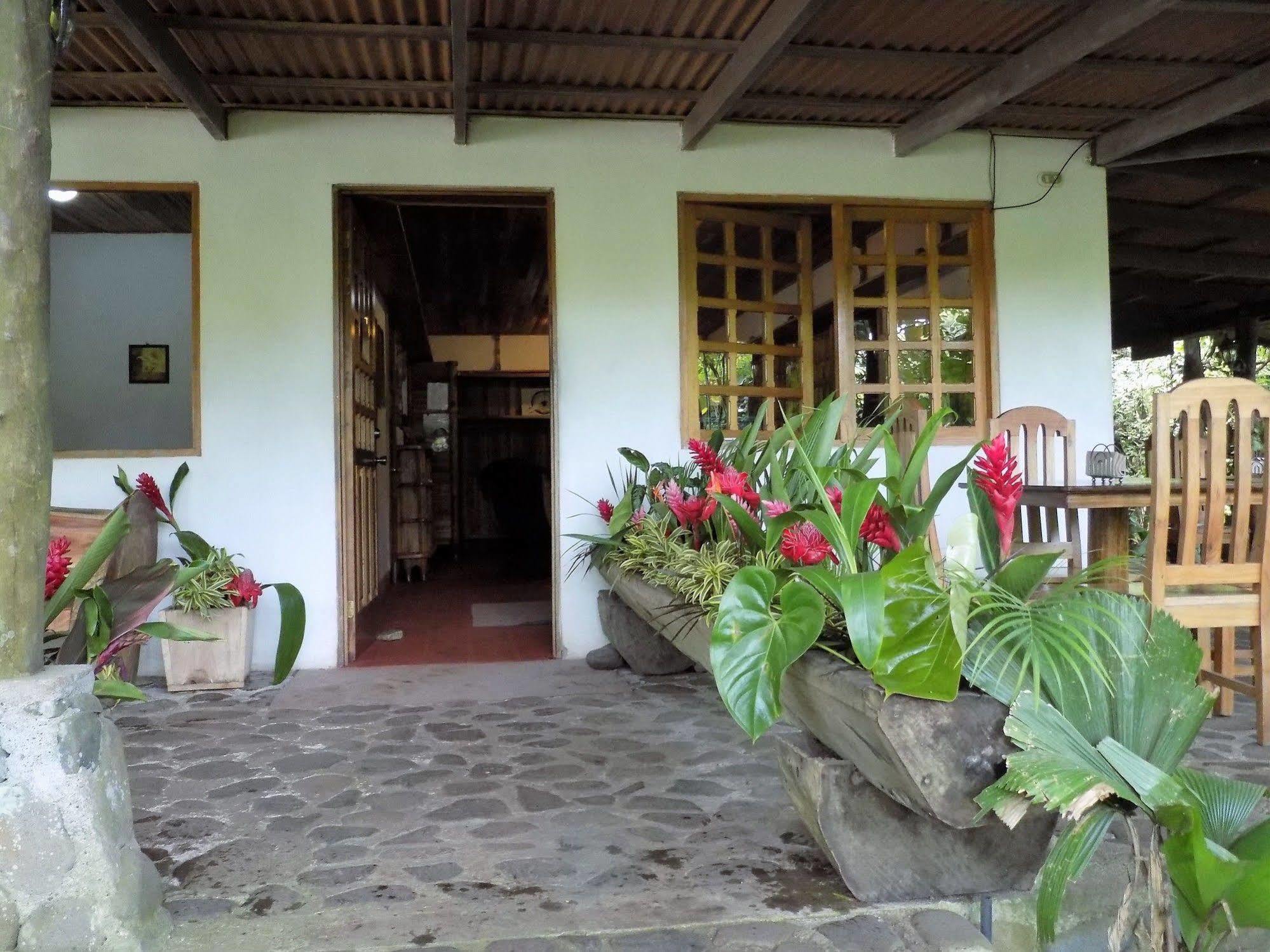 Rancho Margot Sustainable & Self Sufficient Eco Lodge El Castillo Exterior foto