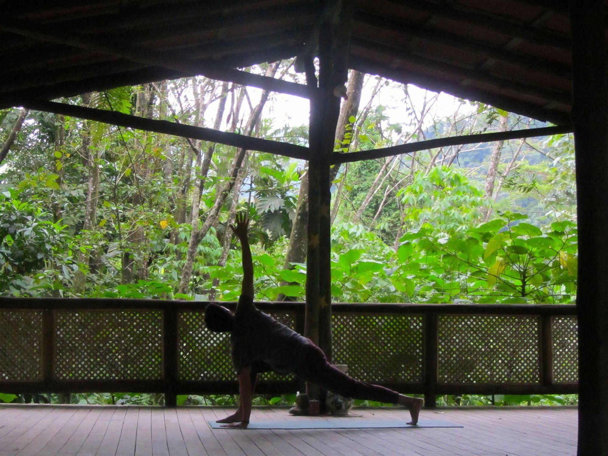 Rancho Margot Sustainable & Self Sufficient Eco Lodge El Castillo Exterior foto