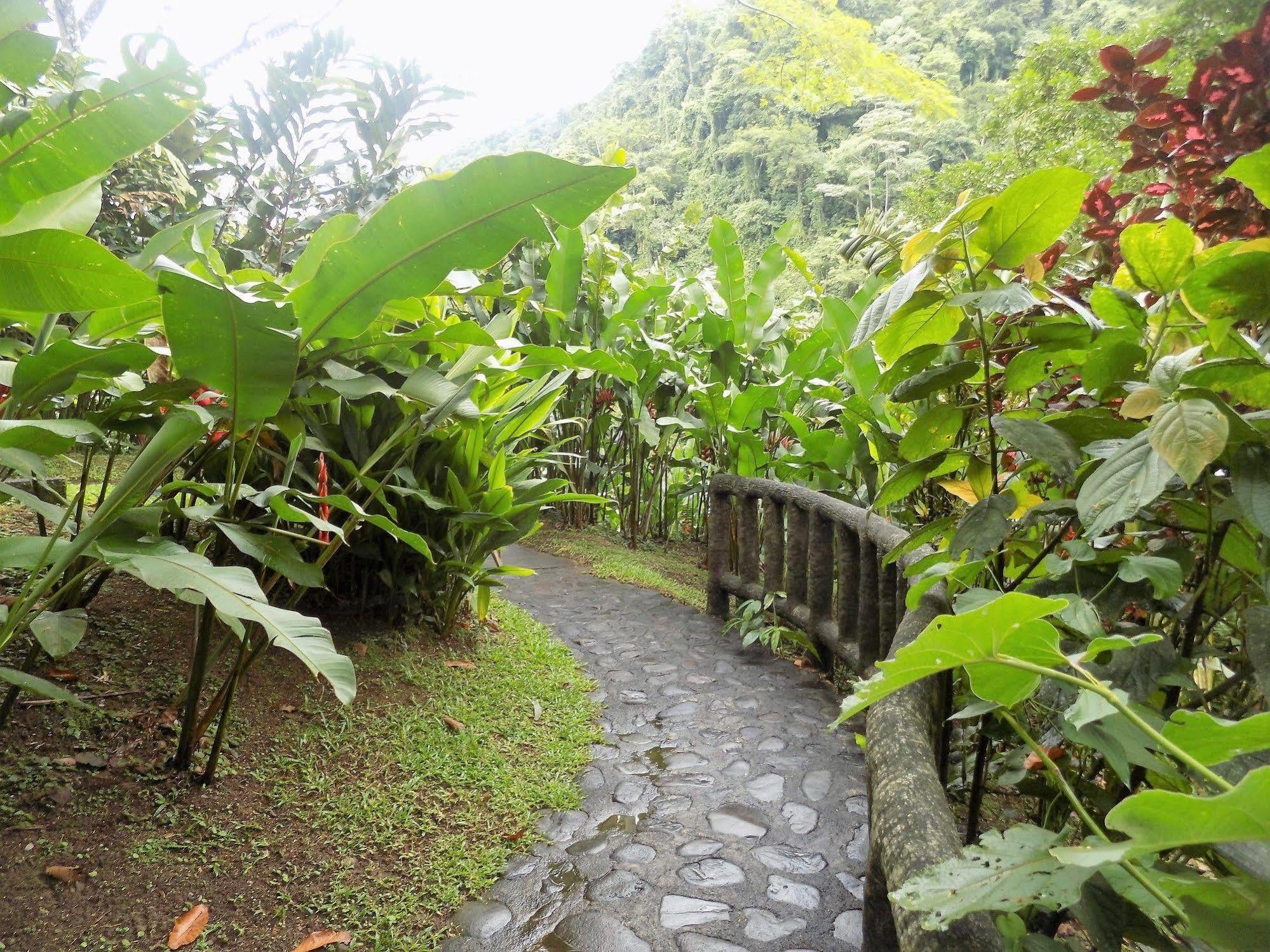 Rancho Margot Sustainable & Self Sufficient Eco Lodge El Castillo Exterior foto