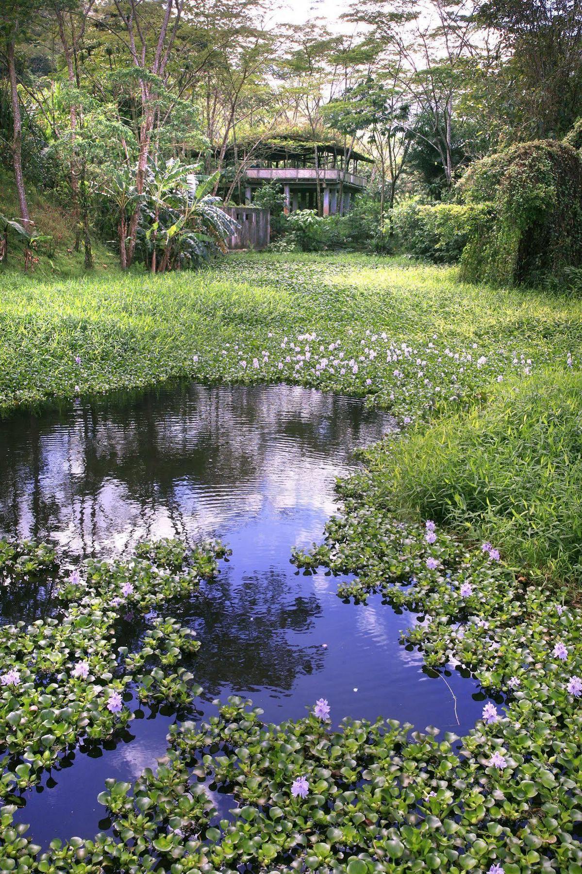 Rancho Margot Sustainable & Self Sufficient Eco Lodge El Castillo Exterior foto