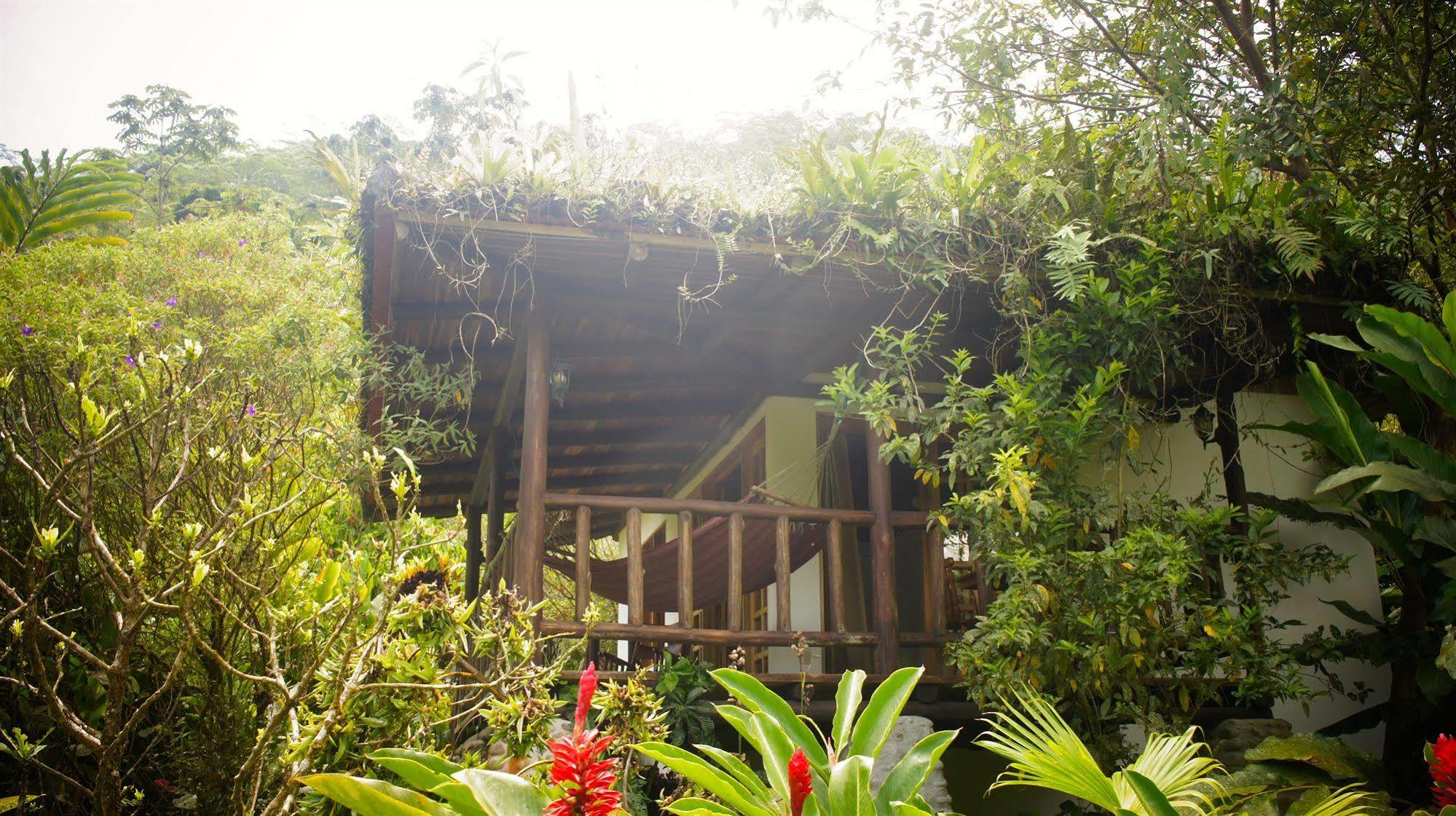 Rancho Margot Sustainable & Self Sufficient Eco Lodge El Castillo Exterior foto
